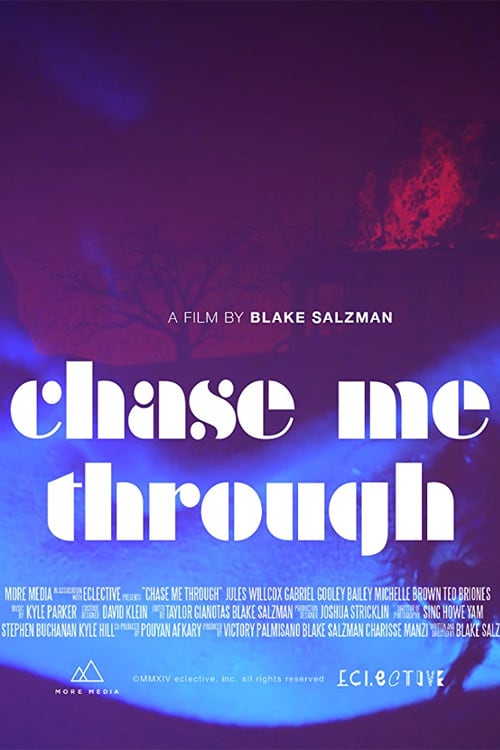 постер Chase Me Through